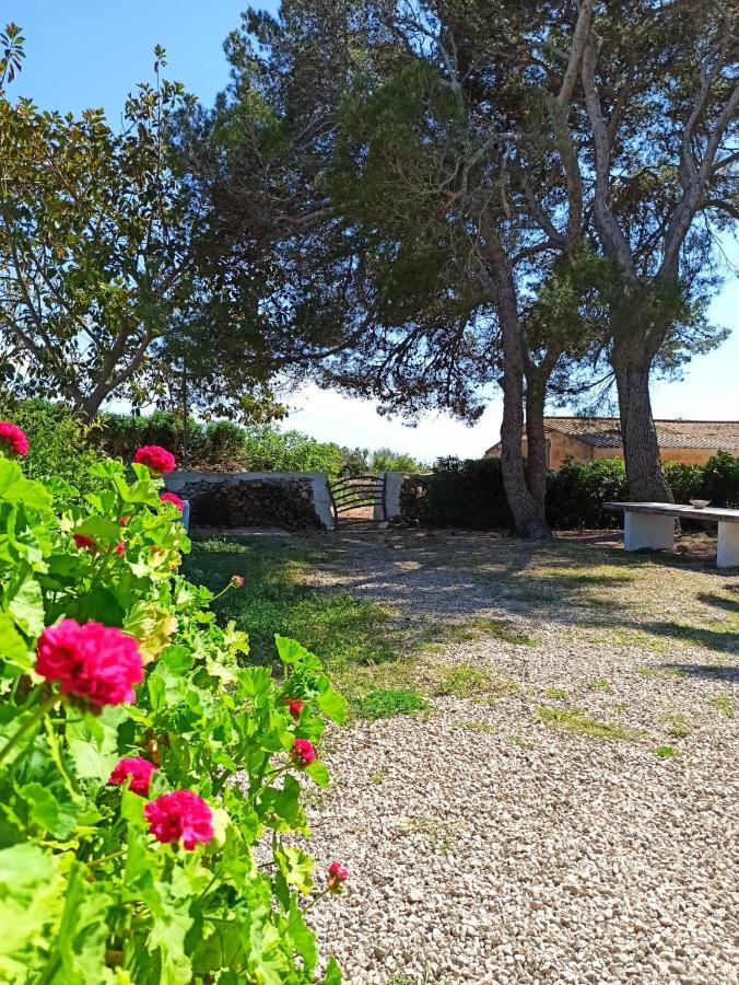 Binicalsitx Casa Rural Ферериес Екстериор снимка